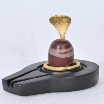 Shivling Jaladhari Naag
